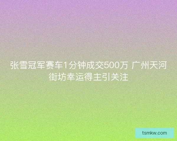 张雪冠军赛车1分钟成交500万 广州天河街坊幸运得主引关注